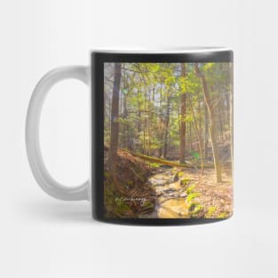 Follow that Creek Mug